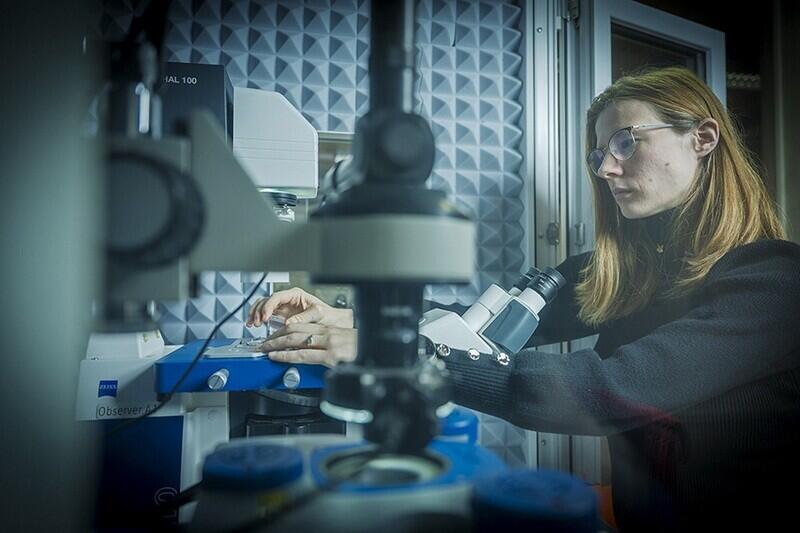 Foto z https://tuni.tul.cz/